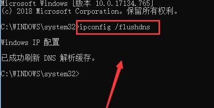 DNS刷新命令执行界面