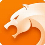 猎豹浏览器安卓版极速安全追剧v5.28.1 最新版