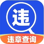 全国违章查询缴纳必备工具v1.0.3 安卓版