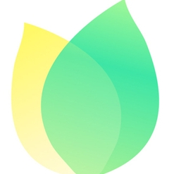 飞火动态壁纸个性化桌面焕新方案v2.4.1.0 电脑版