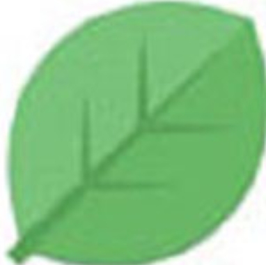 雀大师电脑版高清视频播放工具v3.3.0绿色版