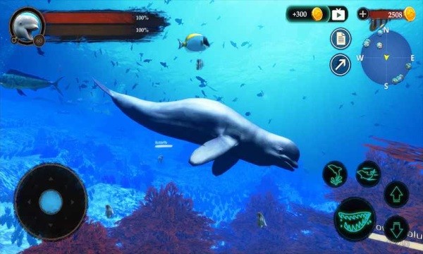 u767du9cb8u6a21u62dfu5668u624bu6e38(The Beluga Whale)